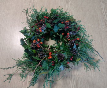 Rozvojový tím v akcii / Stretnutie so Seniormi - foto