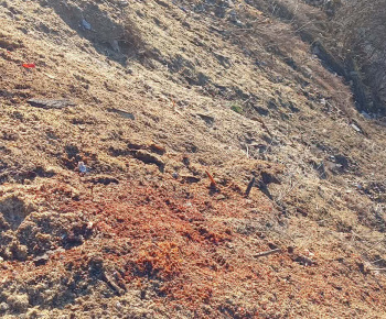 Rozvojový tím v akcii / Čistenie verejných priestorov  - foto